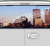 CLR134 WTC Vision Rear Window Mural Decal