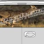 CLR135 Brown Deer Vision Rear Window Mural Decal