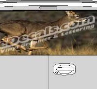 CLR135 Brown Deer Vision Rear Window Mural Decal
