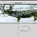 CLR137 Snow Deer Vision Rear Window Mural Decal
