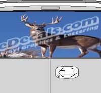 CLR138 Deer I Vision Rear Window Mural Decal