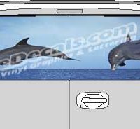 CLR139 Dolphins Vision Rear Window Mural Decal