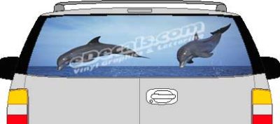 CLR139 Dolphins Vision Rear Window Mural Decal