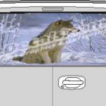 CLR140 Snow Wolf Vision Rear Window Mural Decal