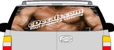 CLR159 Muscle Man Front Vision Rear Window Mural Decal
