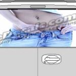 CLR160 Belly Button Vision Rear Window Mural Decal