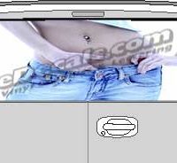 CLR160 Belly Button Vision Rear Window Mural Decal