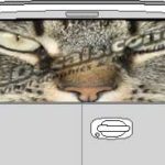 CLR162 Cats Eyes Vision Rear Window Mural Decal