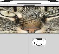 CLR162 Cats Eyes Vision Rear Window Mural Decal