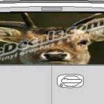 CLR163 Deer Rack Vision Rear Window Mural Decal