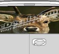 CLR163 Deer Rack Vision Rear Window Mural Decal