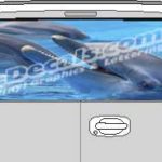 CLR164 Dolphins Vision Rear Window Mural Decal