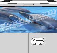 CLR164 Dolphins Vision Rear Window Mural Decal