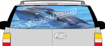 CLR164 Dolphins Vision Rear Window Mural Decal