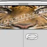CLR166 Tiger Eyes Vision Rear Window Mural Decal