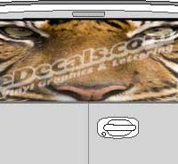 CLR166 Tiger Eyes Vision Rear Window Mural Decal