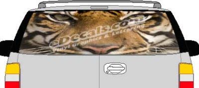 CLR166 Tiger Eyes Vision Rear Window Mural Decal