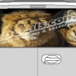 CLR169 Lions & Tigers Vision Rear Window Mural Decal