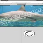 CLR175 Shark Vision Rear Window Mural Decal