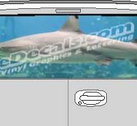 CLR175 Shark Vision Rear Window Mural Decal