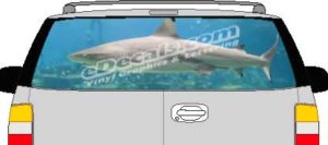 CLR175 Shark Vision Rear Window Mural Decal