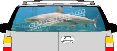 CLR175 Shark Vision Rear Window Mural Decal