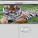 CLR178 Bengal Tiger Vision Rear Window Mural Decal