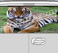CLR178 Bengal Tiger Vision Rear Window Mural Decal