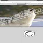 CLR179 Howling Wolf Vision Rear Window Mural Decal