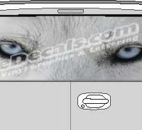 CLR180 Wolf Eyes Vision Rear Window Mural Decal