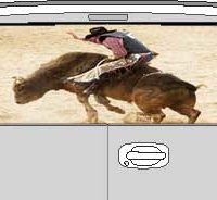 CLR195 Bull Rider Vision Rear Window Mural Decal