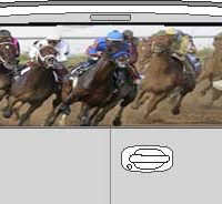 CLR196 Race Horses Vision Rear Window Mural Decal