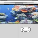 CLR199 Coral Reef Vision Rear Window Mural Decal