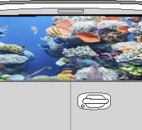 CLR199 Coral Reef Vision Rear Window Mural Decal