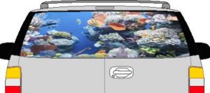 CLR199 Coral Reef Vision Rear Window Mural Decal