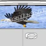 CLR205 Eagle in Flight Vision Rear Window Mural Decal