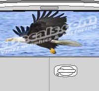 CLR205 Eagle in Flight Vision Rear Window Mural Decal