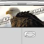 CLR206 Angry Eagle Vision Rear Window Mural Decal