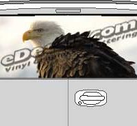 CLR206 Angry Eagle Vision Rear Window Mural Decal
