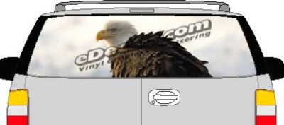 CLR206 Angry Eagle Vision Rear Window Mural Decal