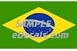 CNF302 Brazil Flag Decal