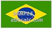  CNF302 Brazil Flag Decal