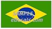 CNF302 Brazil Flag Decal