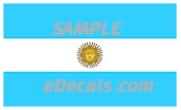 CNF315 Argentina Flag Decal