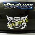CRT117 Cat Cartoon Decal