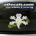 CRT128 Lizard Cartoon Decal
