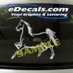 CRT132 Horse Cartoon Decal