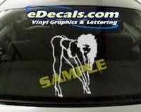 CRT196 Dancer Cartoon Decal