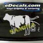 CRT199 Cow Pee Cartoon Decal