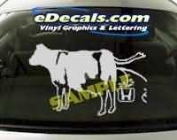 CRT199 Cow Pee Cartoon Decal